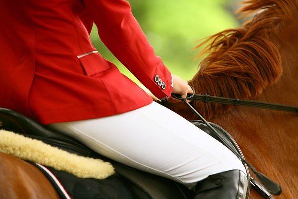 Chaussettes d'équitation : confort et performance pour vos sorties